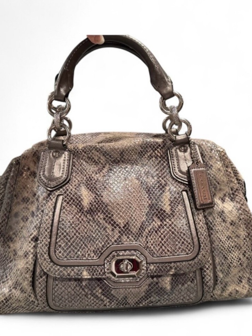 Coach Snake-Embossed Ashley Satchel Handbag in Taupe